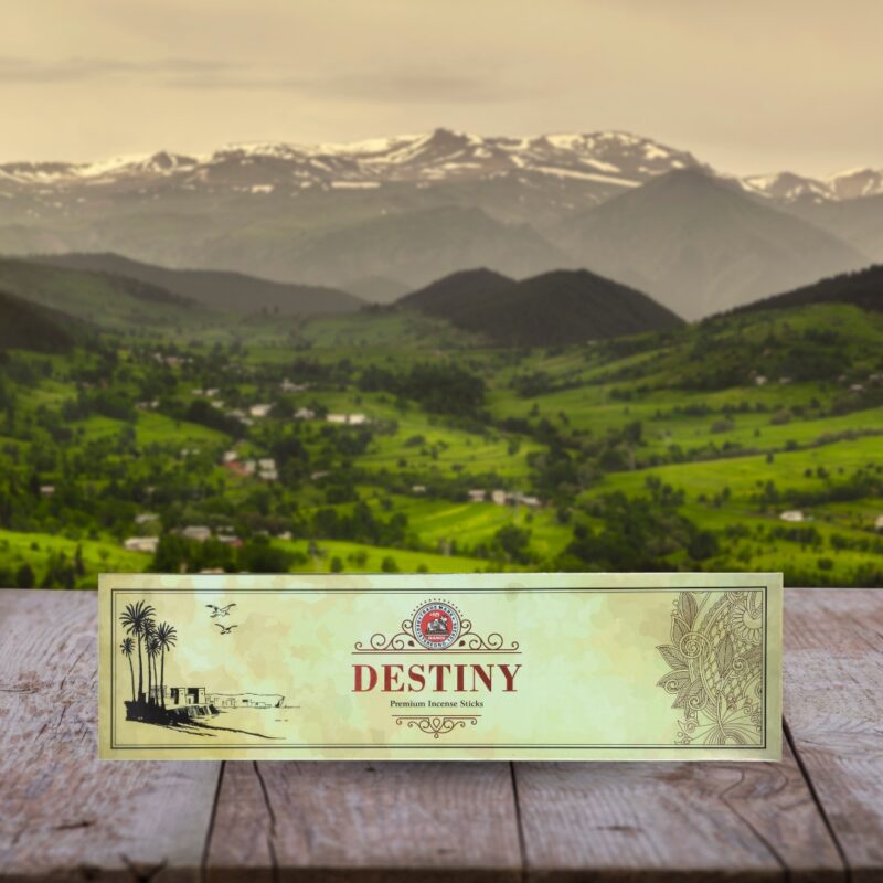 Nandi Destiny